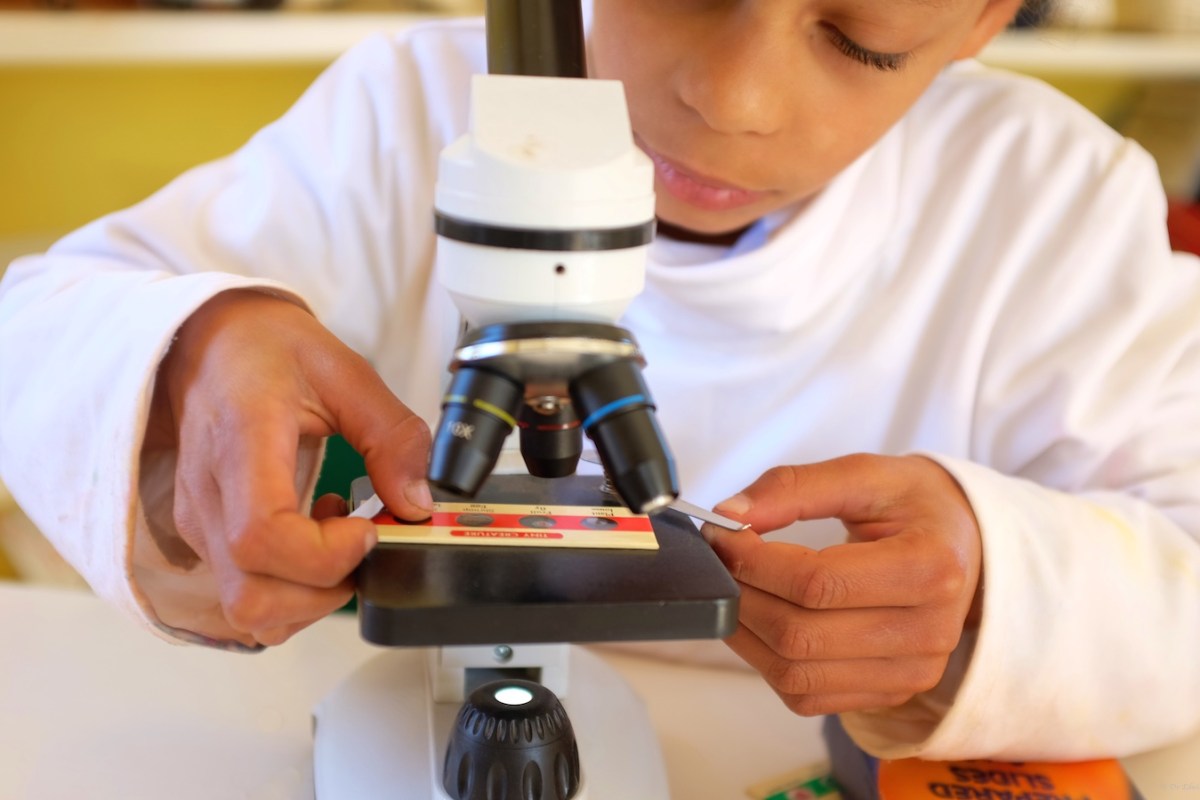 Seeing the microscopic world for the first time