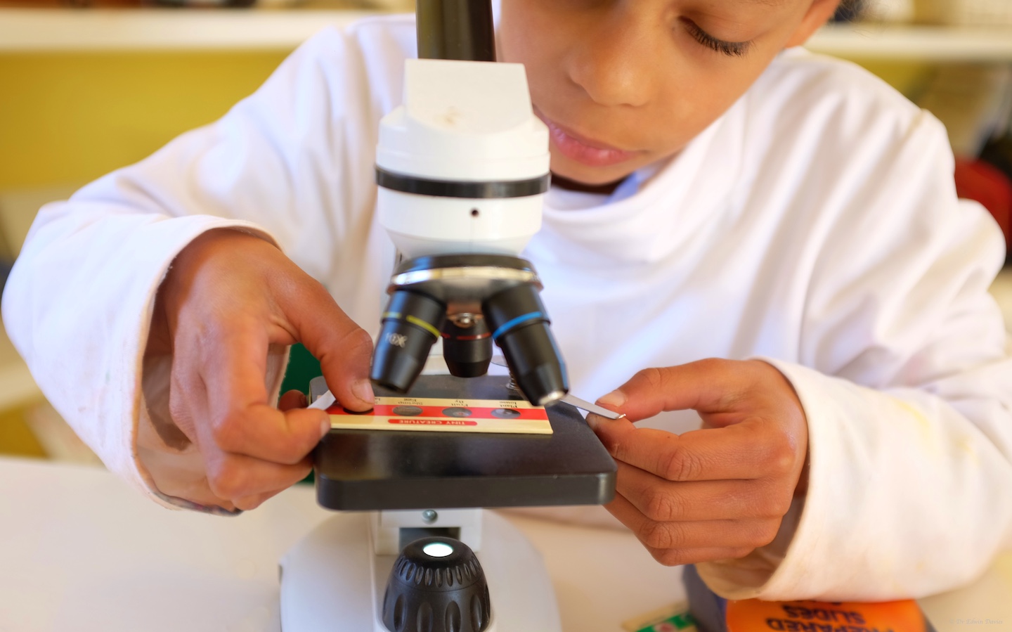 Seeing the microscopic world for the first time