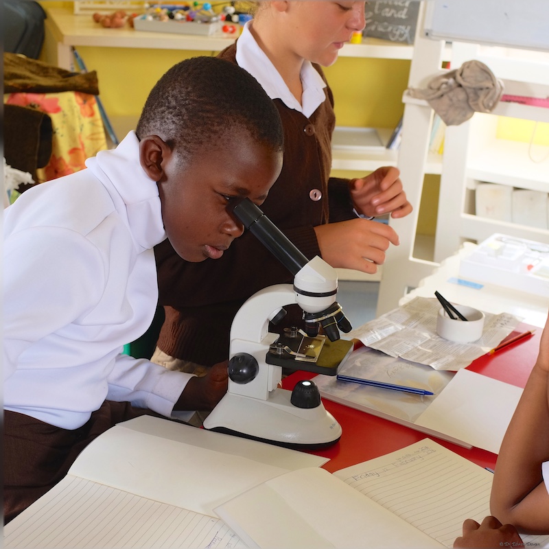 Taking turns to see the magnified image