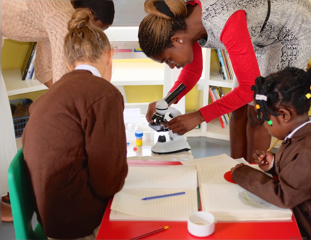 Staining the onion endodermal layer