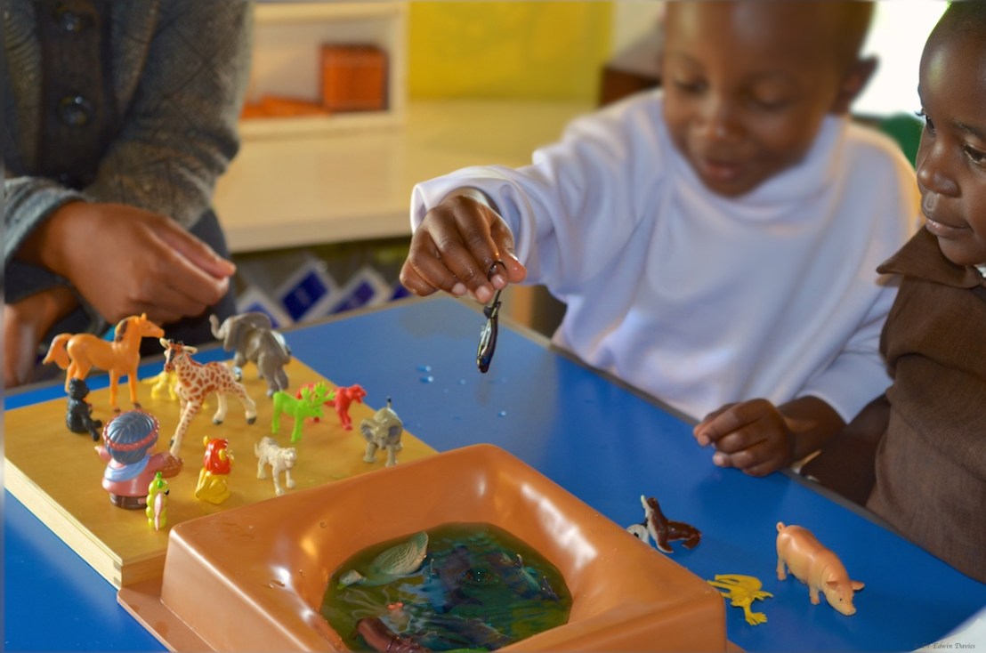 The stingray is about to fall