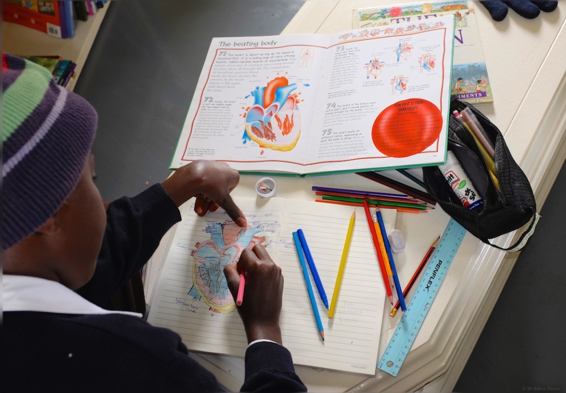 Drawing the human heart