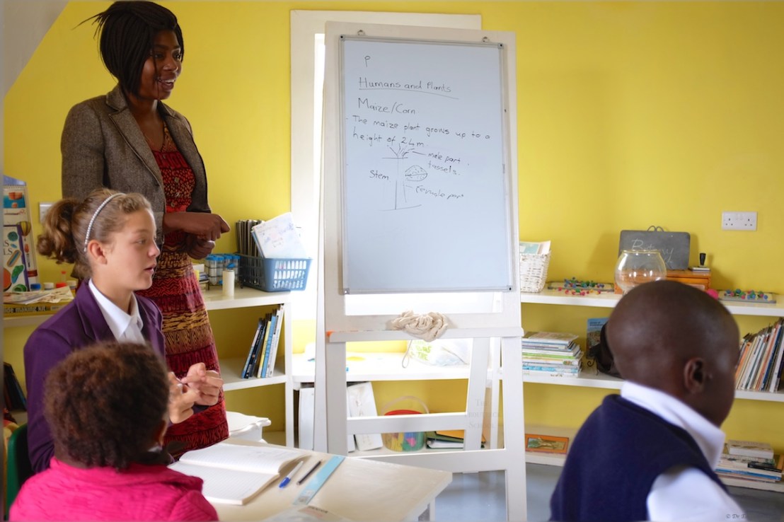 Maize - one of staples here in Zimbabwe