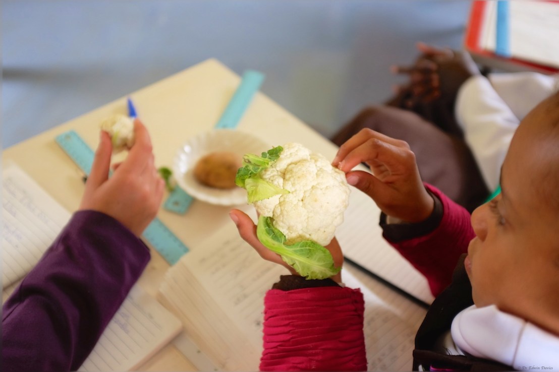 Humans need vegetables too