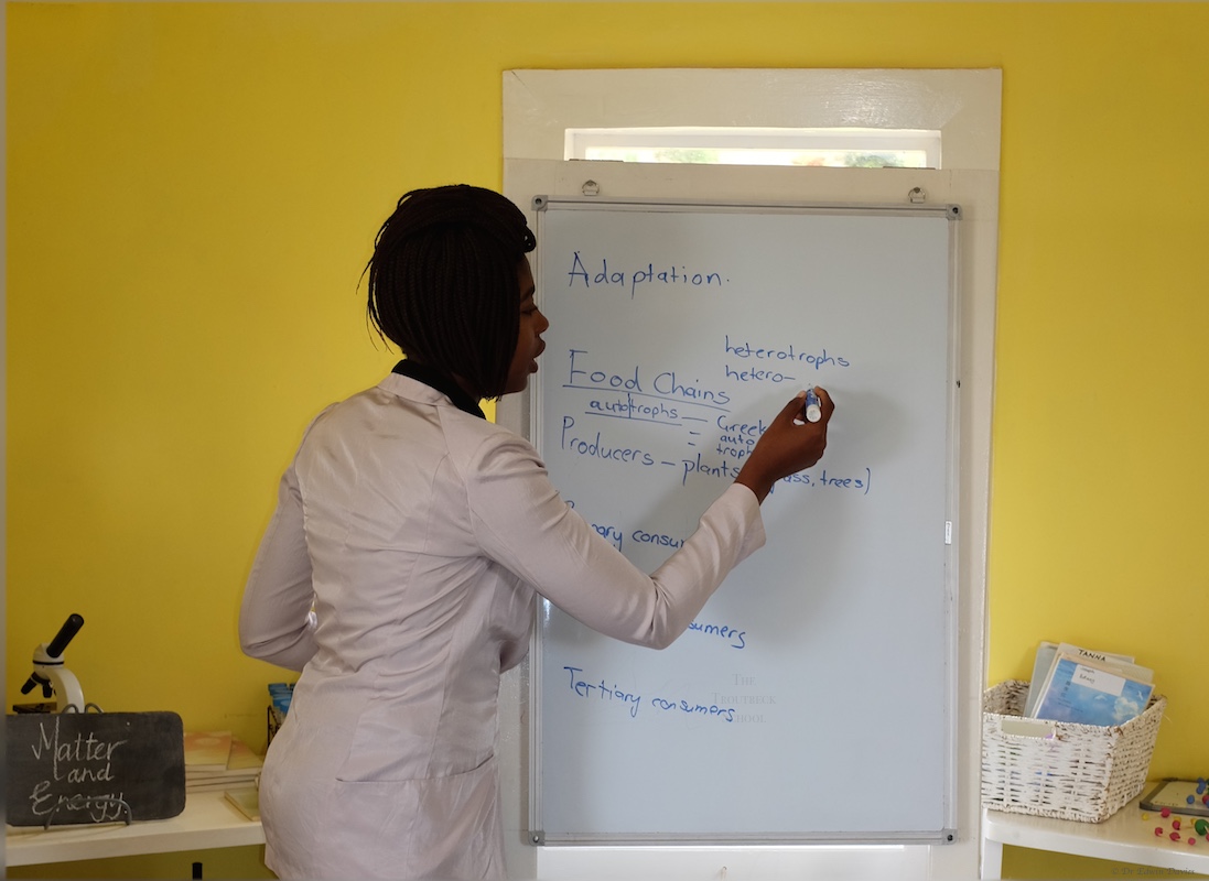 Auto- and Hetro-trophs are explained