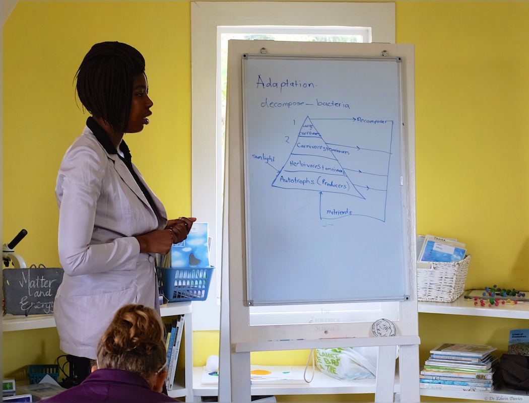 Decomposers help to create nutrients