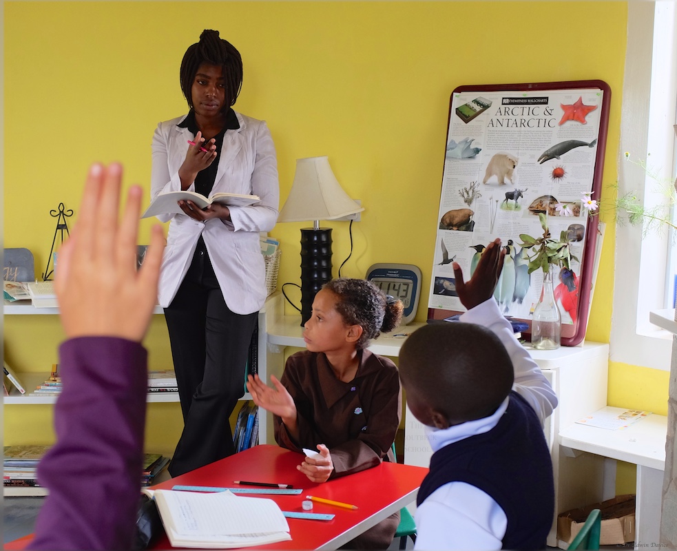 Questions on food webs