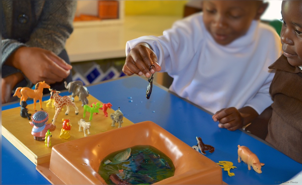 Learning about land and water animals