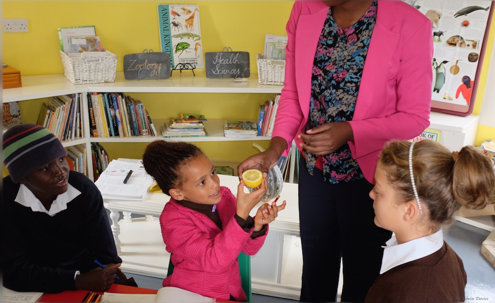 The fruits of flowering plants