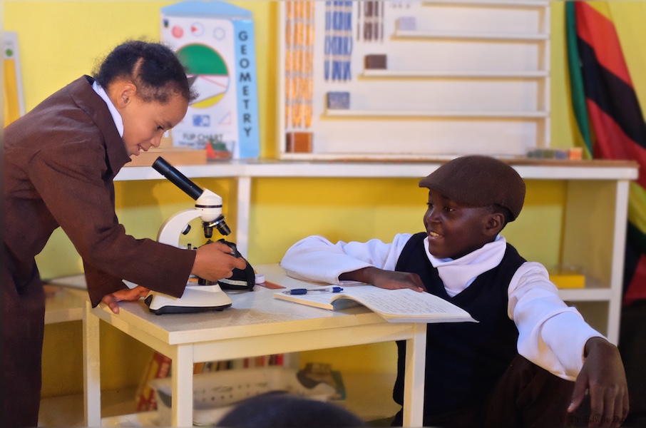 Learning how to use a light microscope