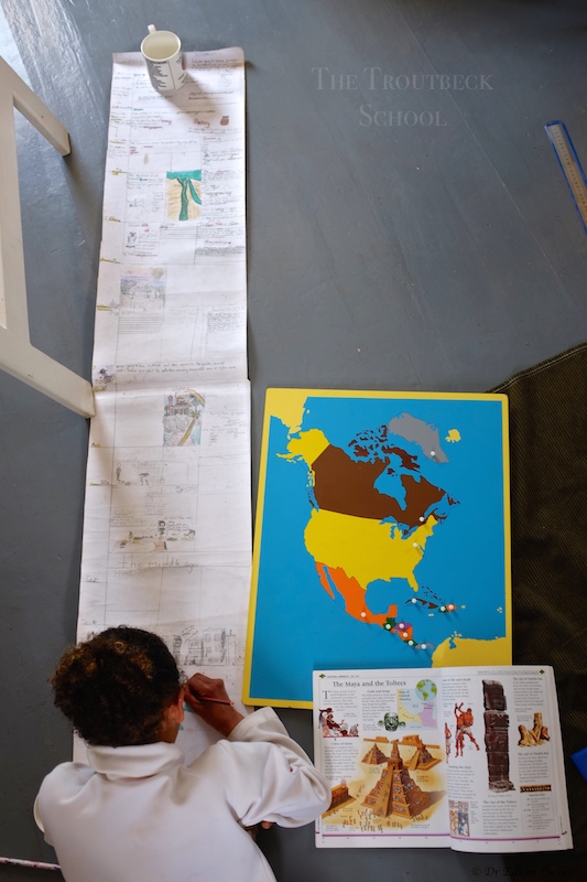 Human History Timeline