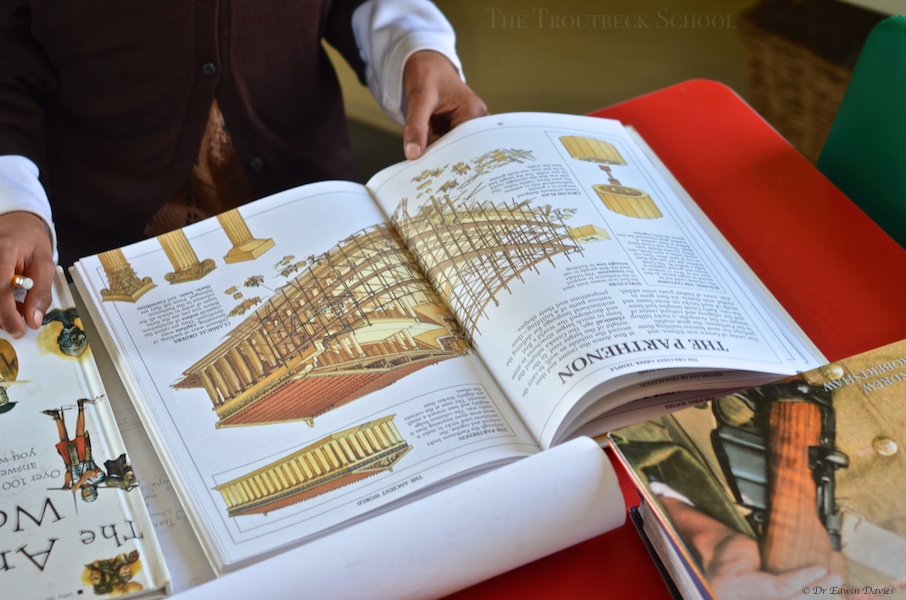 Human History Timeline