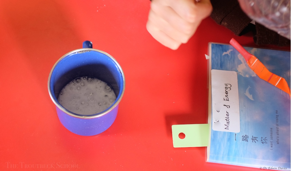 The test reaction of vinegar and sodium bicarbonate 