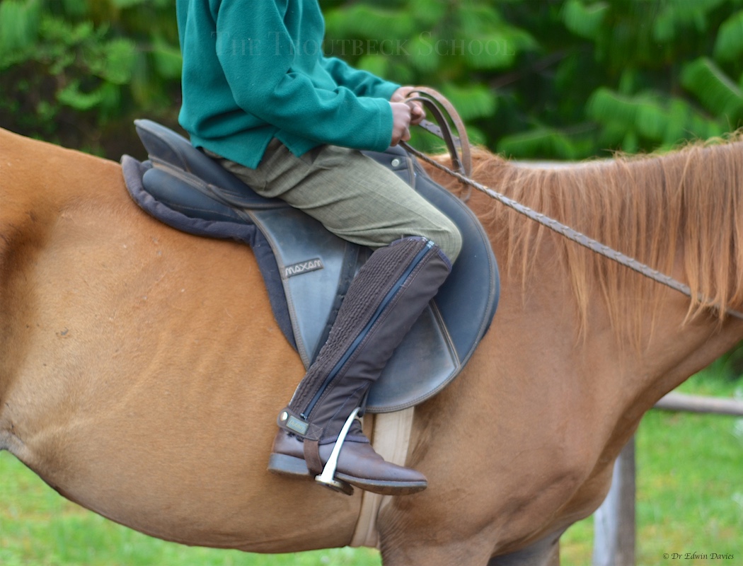 Learning about the correct riding position