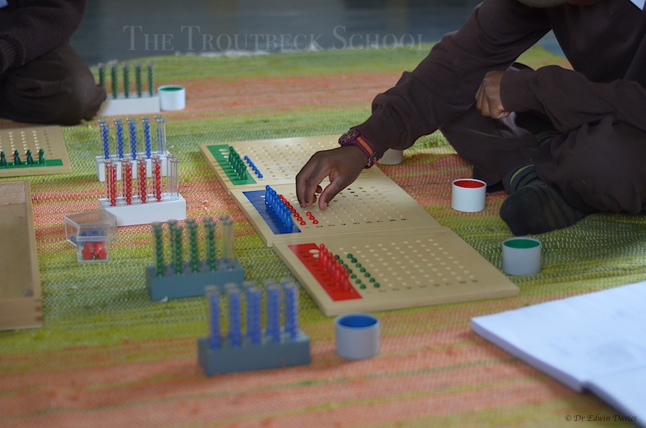 New to Montessori – The Long Division Materials | The Troutbeck School